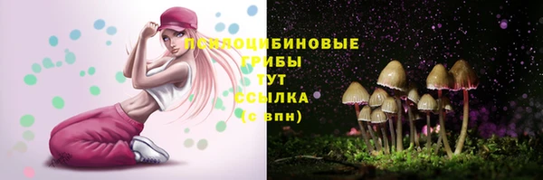 твердый Бронницы