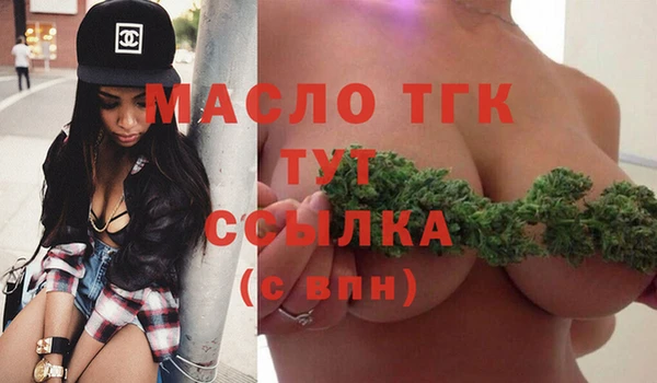 крисы Верхний Тагил