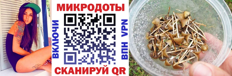 Галлюциногенные грибы Magic Shrooms  дарнет шоп  Майкоп 